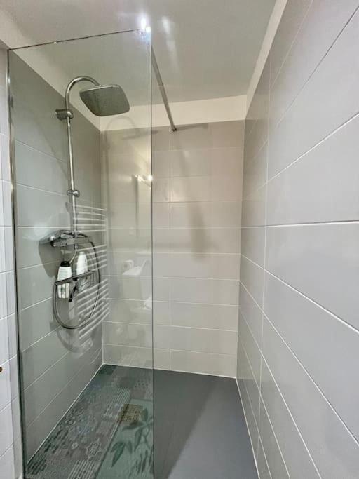 Appartement Confort - Carcassonne Centre Екстер'єр фото